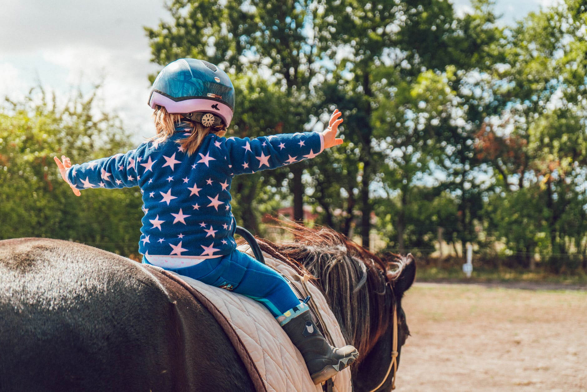 Onder het paard zijn buik; hoe zit het met de aansprakelijkheid?