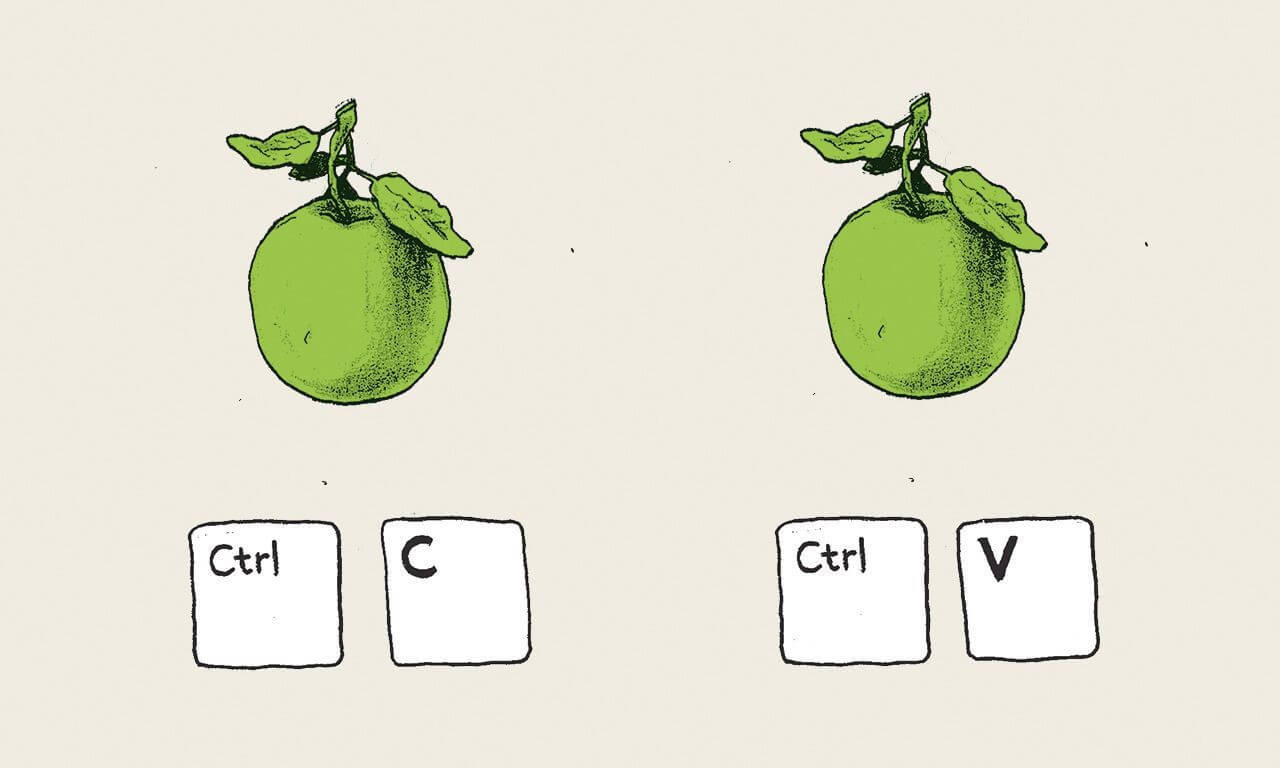 Fraude of Plagiaat! En nu? Fraude of Plagiaat! En nu?